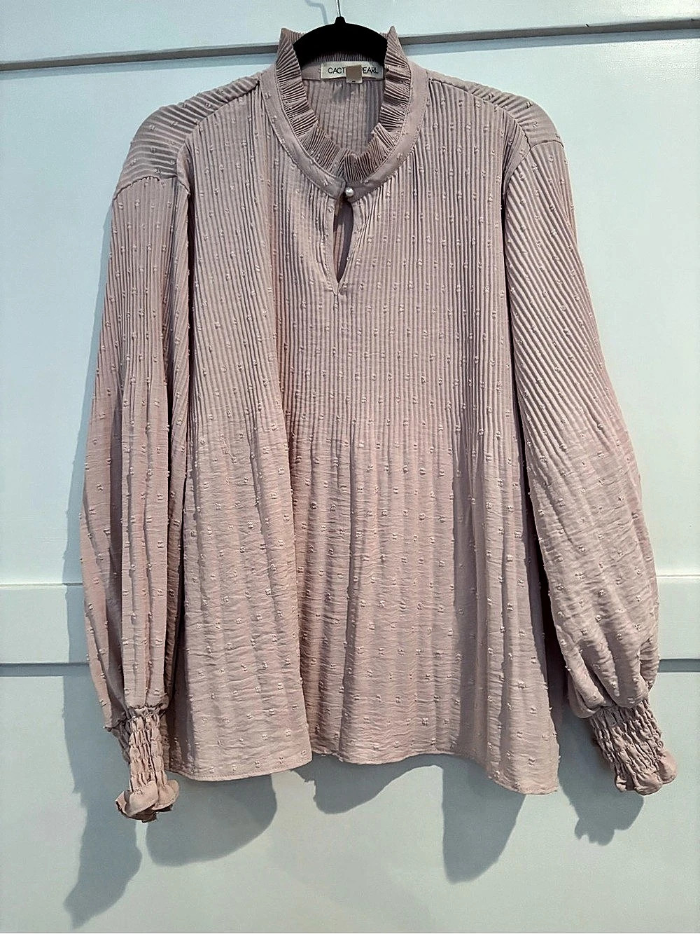 Cactus + Pearl Pleated Swiss Dot Keyhole Long Balloon Sleeve Blouse Pink Medium